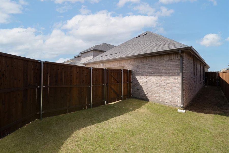 Backyard Backyard
