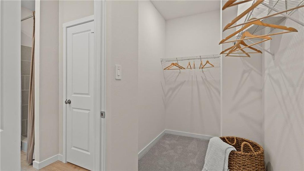 Spacious, unfurnished interior of a new home in , Clermont (Image 14).