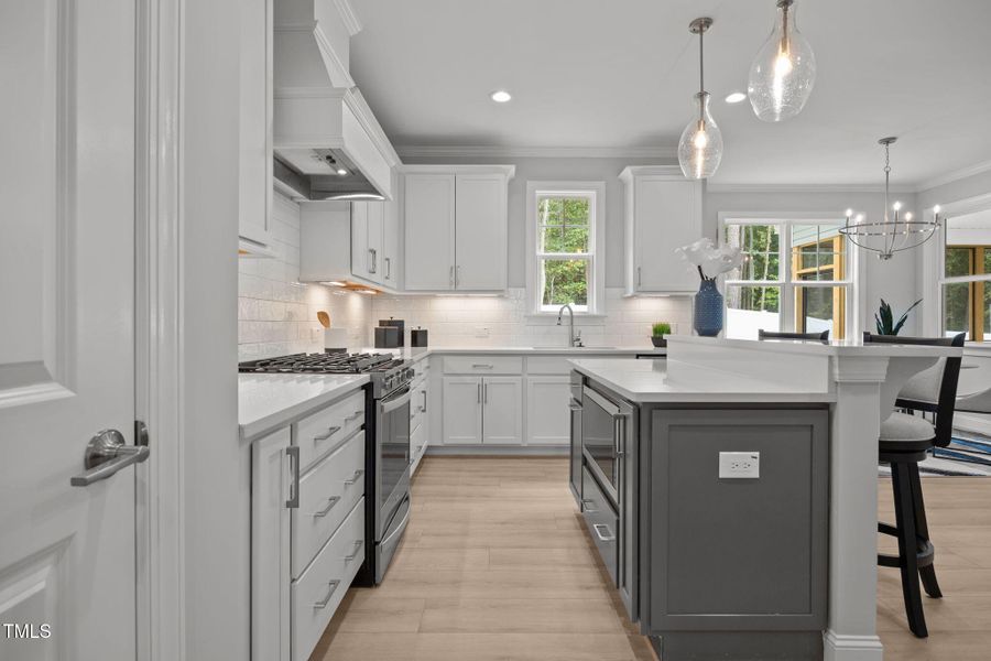 27-web-or-mls-IMG_8051