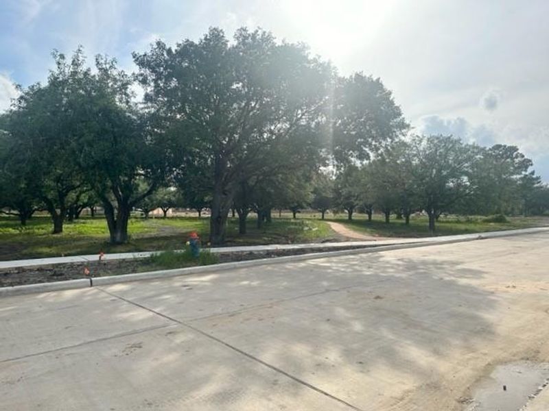 Image 2 of a home in Massey Oaks.