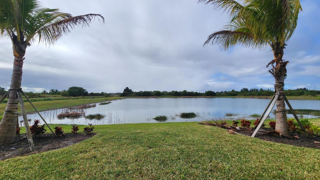 Natural landscape and outdoor views near  in Fort Pierce (Image 32).