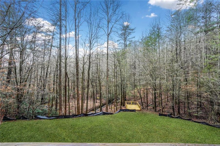 Natural landscape and outdoor views near in Ellijay (Image 47). Natural landscape and outdoor views near in Ellijay (Image 47).