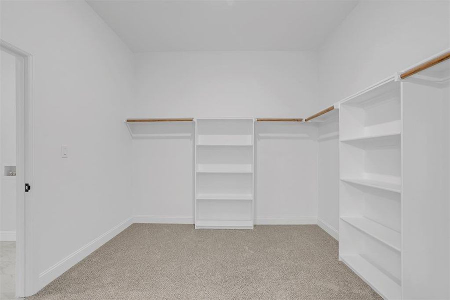 Spacious closet with light carpet