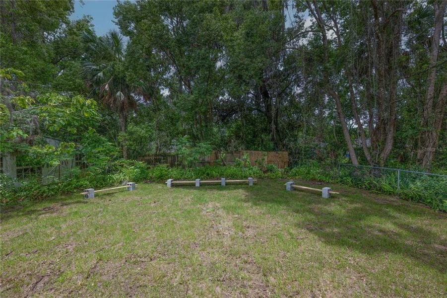 Natural landscape and outdoor views near  in Deland (Image 25).