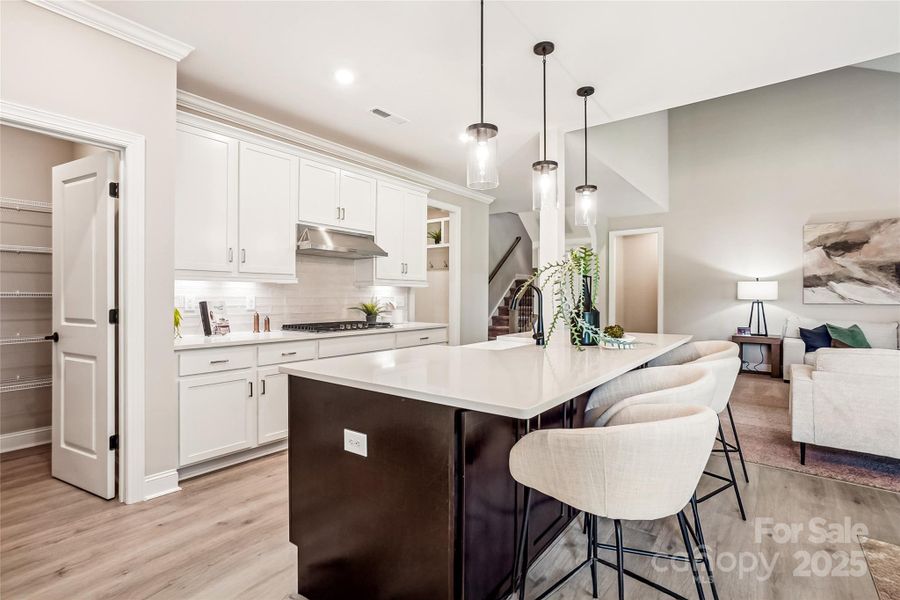 Furnished interior view inside a new home in Rolling Meadows, Mooresville (Image 6).