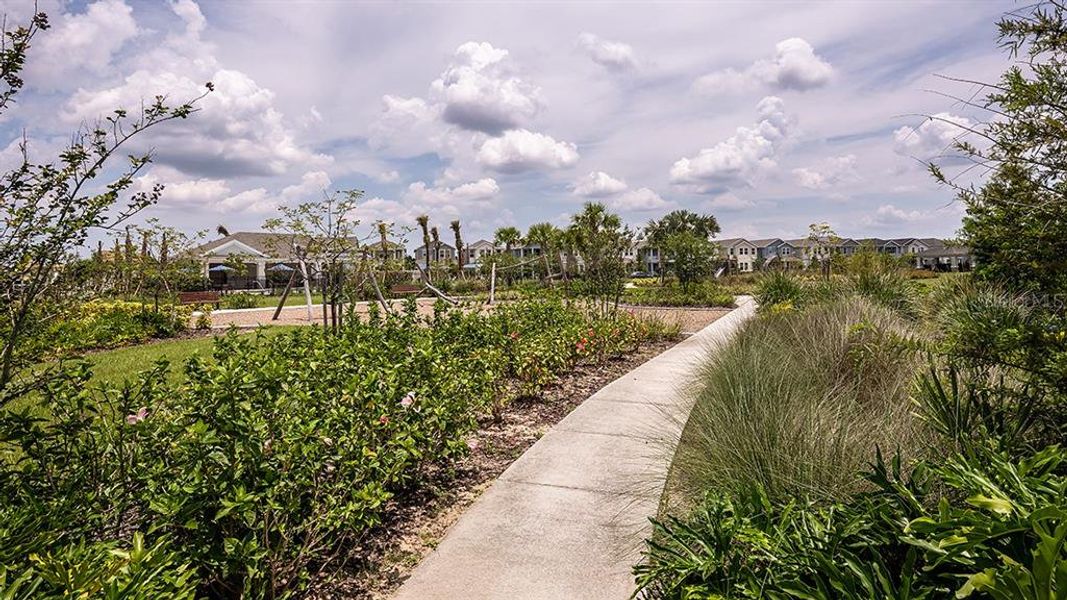 Community amenities in Harvest at Ovation, Winter Garden (Image 25).