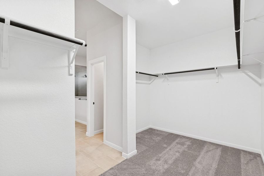 Spacious, unfurnished interior of a new home in Jubilee, Hockley (Image 20).