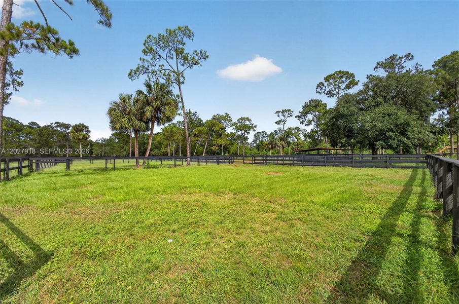 Natural landscape and outdoor views near  in Palm Beach Gardens (Image 96).