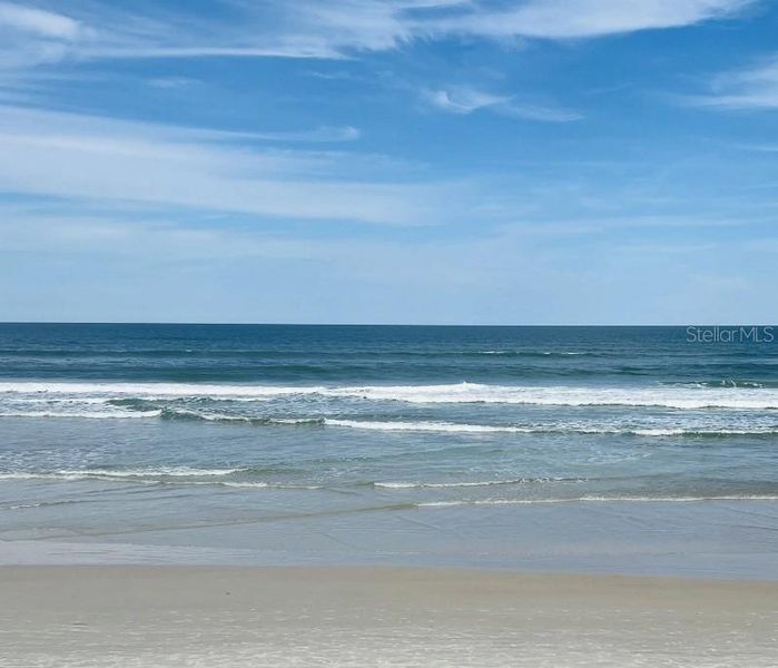 Natural landscape and outdoor views near  in Edgewater (Image 20).