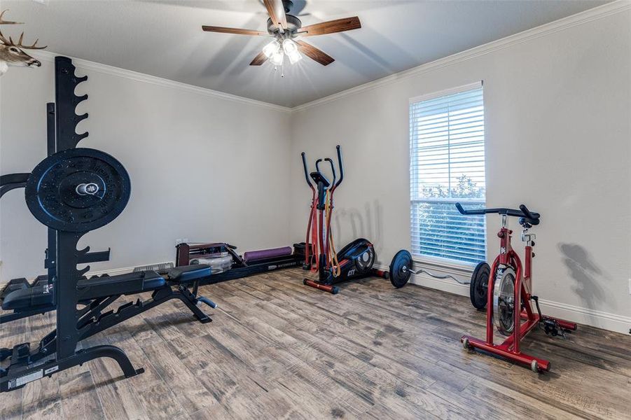 Exercise room featuring wood finished floors, crown molding, and a ceiling fan