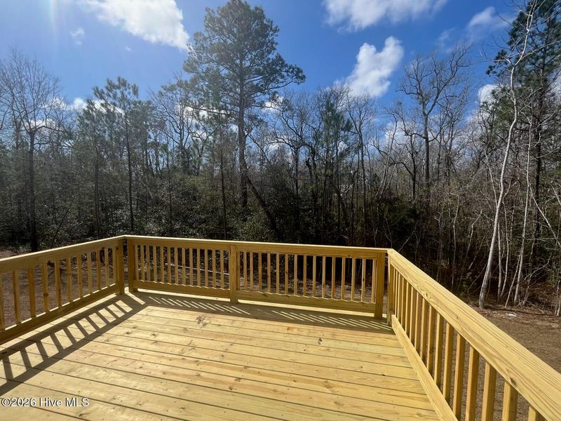 Natural landscape and outdoor views near Palmetto Creek in Bolivia (Image 32). Natural landscape and outdoor views near Palmetto Creek in Bolivia (Image 32).