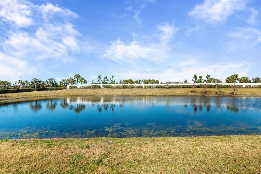 Natural landscape and outdoor views near  in Lakewood Ranch (Image 85).