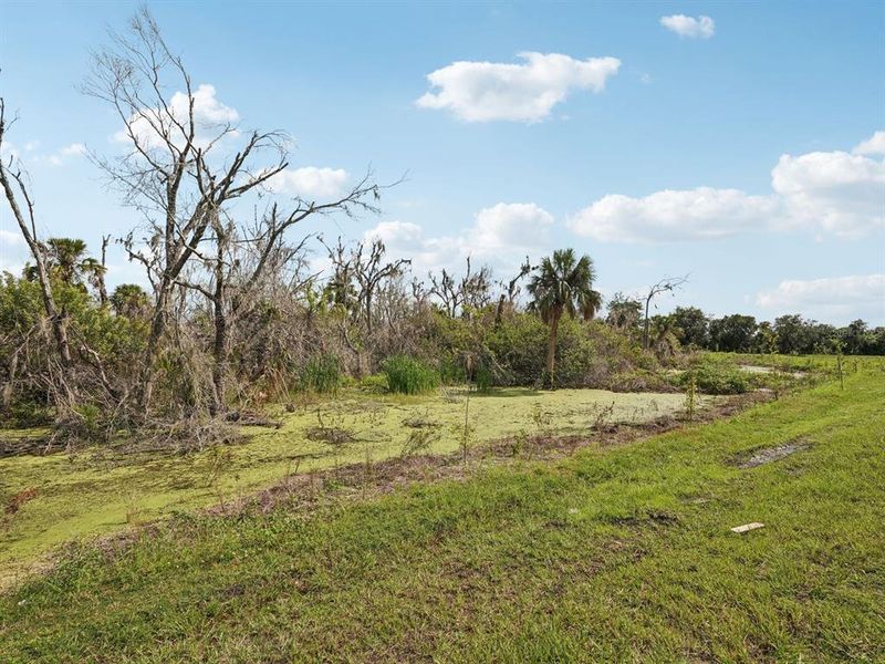 Natural landscape and outdoor views near Oakfield Trails - Signature Series in Parrish (Image 35). Natural landscape and outdoor views near Oakfield Trails - Signature Series in Parrish (Image 35).