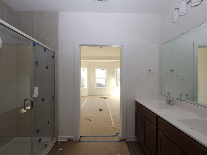 Owner's Bathroom