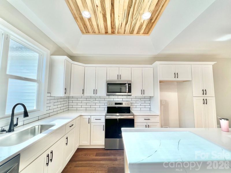 Beautiful kitchen with custom trey ceiling