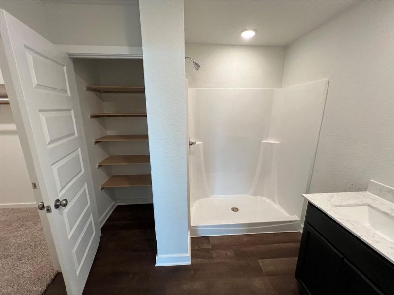 Bathroom featuring vanity, a shower stall, dark wood-style flooring, and a closet Bathroom featuring vanity, a shower stall, dark wood-style flooring, and a closet
