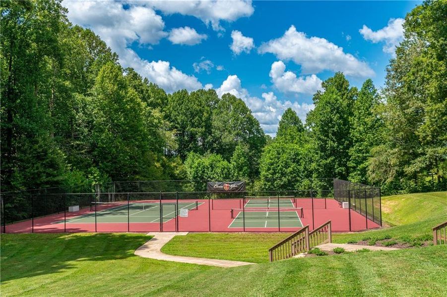 Community amenities in , Blairsville (Image 91).