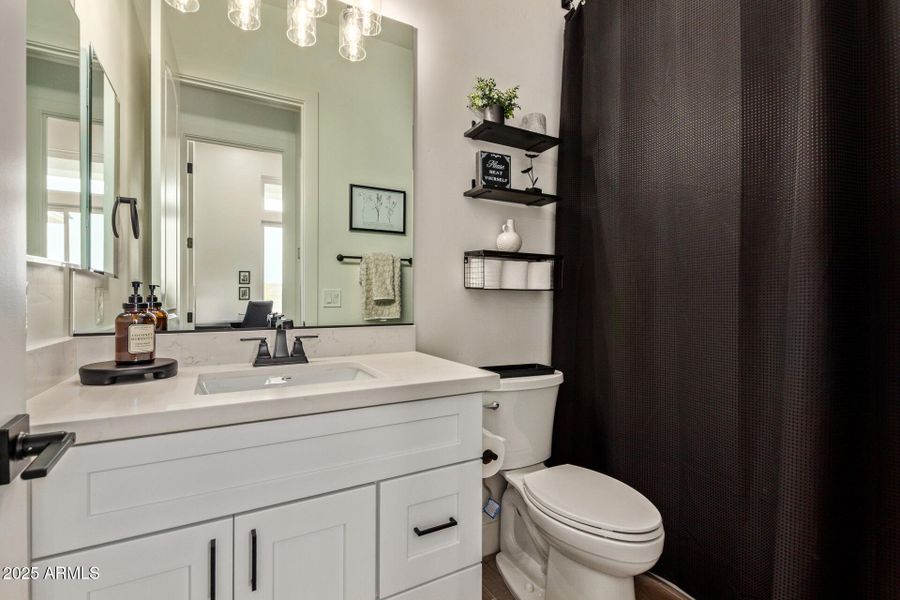 41 - Hummingbird 41 - Hummingbird