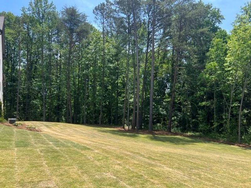 Natural landscape and outdoor views near  in Cumming (Image 22).
