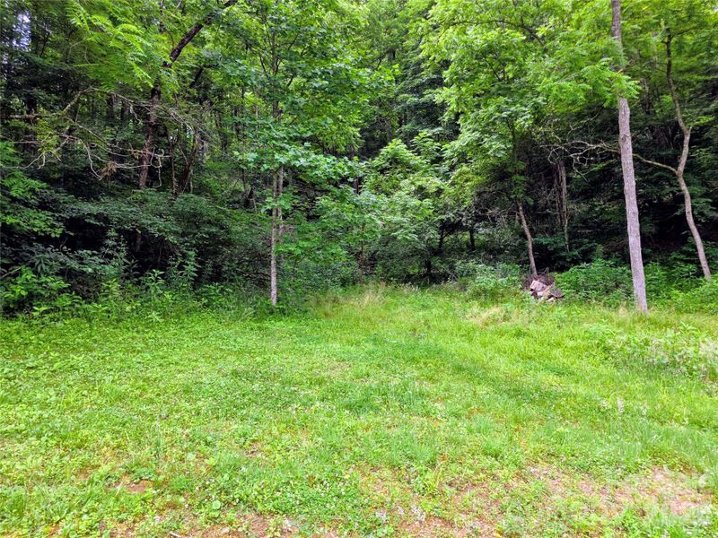 Natural landscape and outdoor views near  in Burnsville (Image 33).