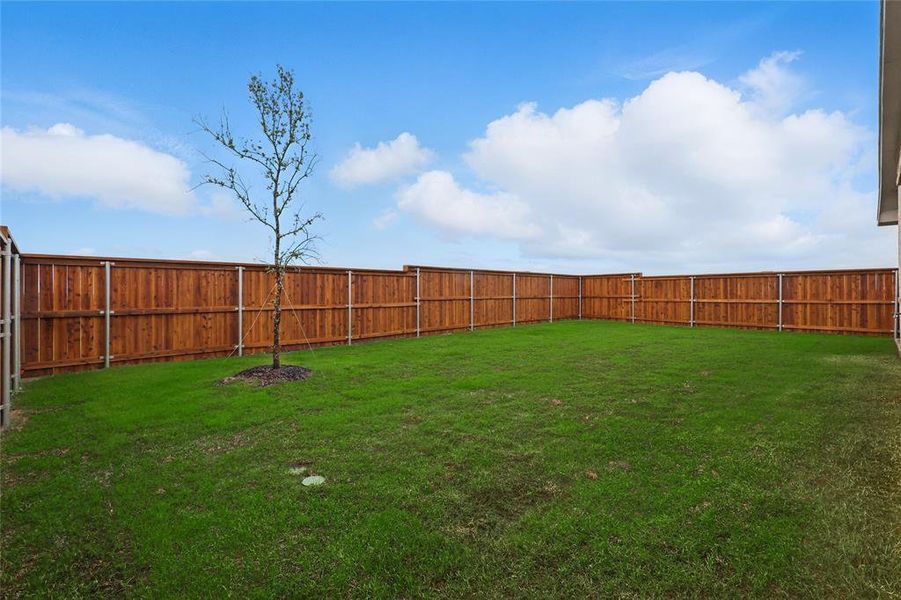 View of fenced backyard View of fenced backyard