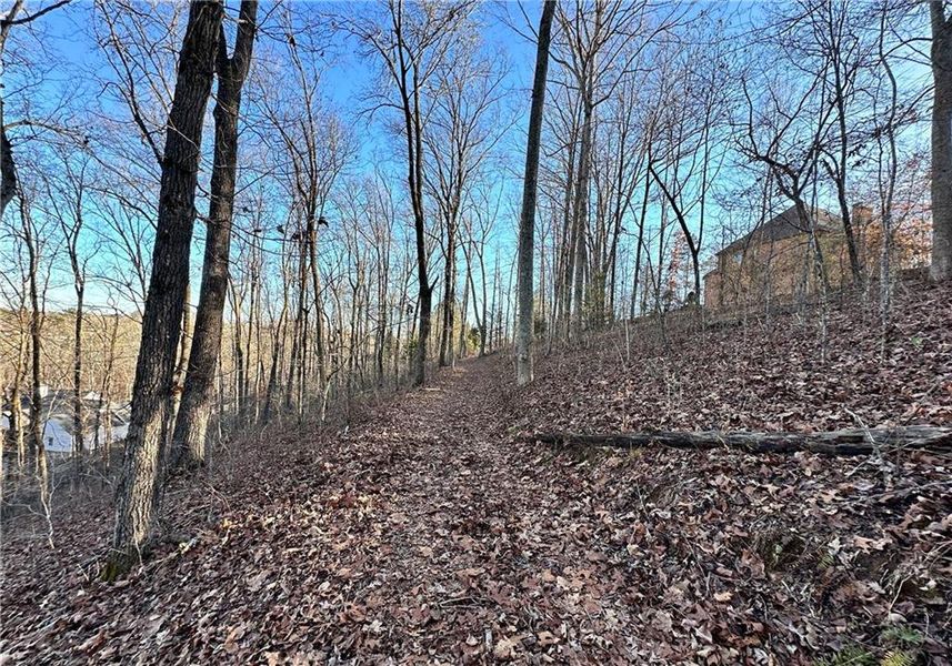 Natural landscape and outdoor views near  in Cumming (Image 29).