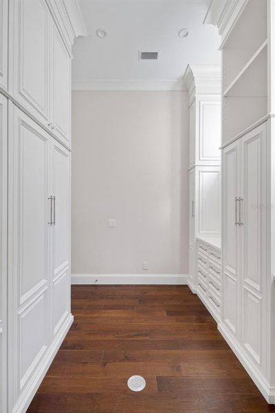 master walk-in closet #1