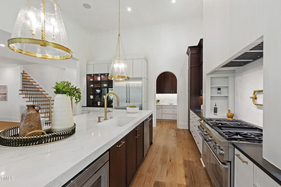 Tanbark (30) Tanbark (30)