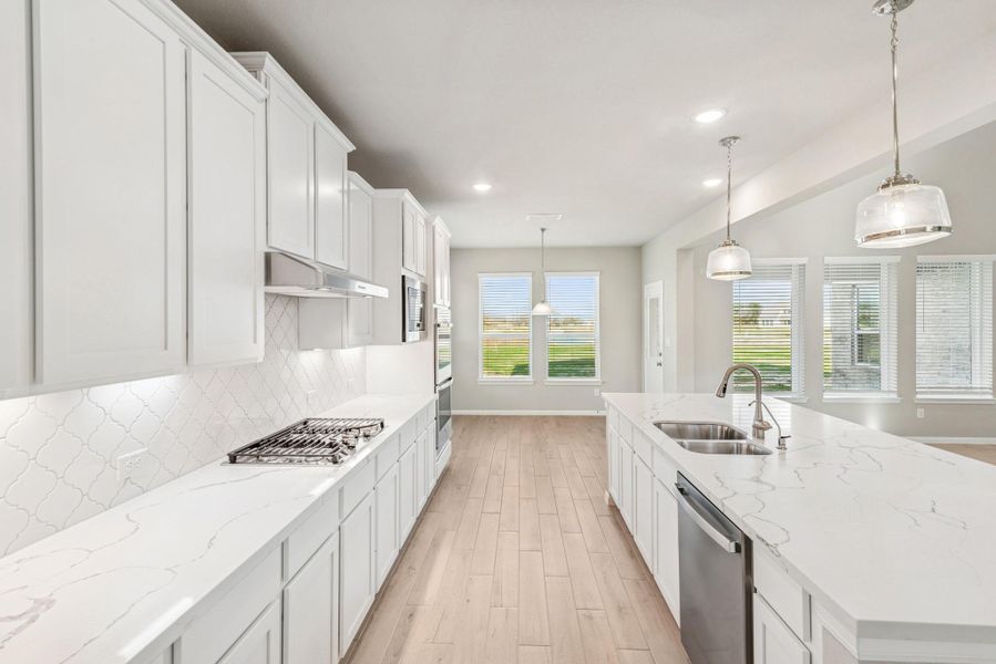 Gourmet kitchen