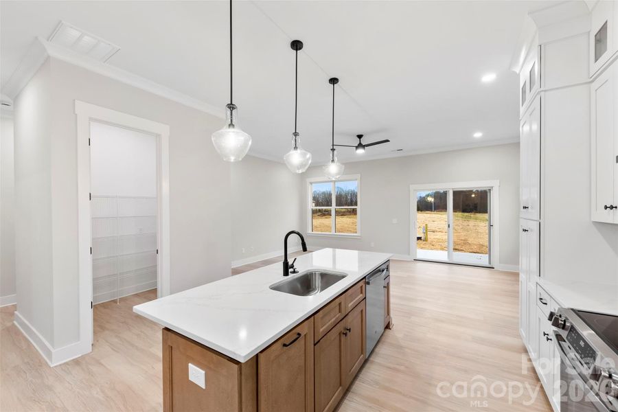Furnished interior view inside a new home in , Troutman (Image 6).
