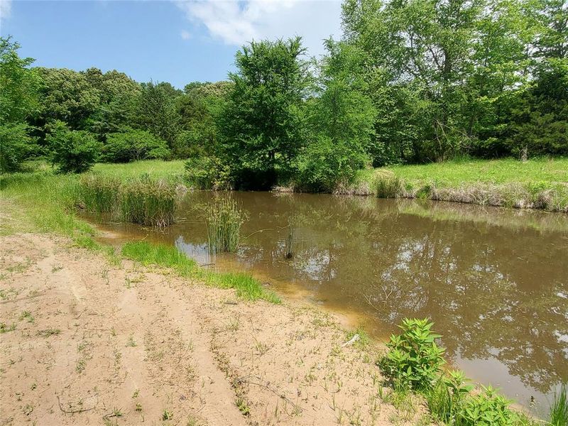 Natural landscape and outdoor views near  in Emory (Image 37).