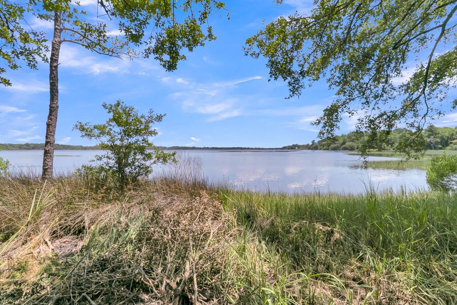 Natural landscape and outdoor views near  in Ravenel (Image 79).