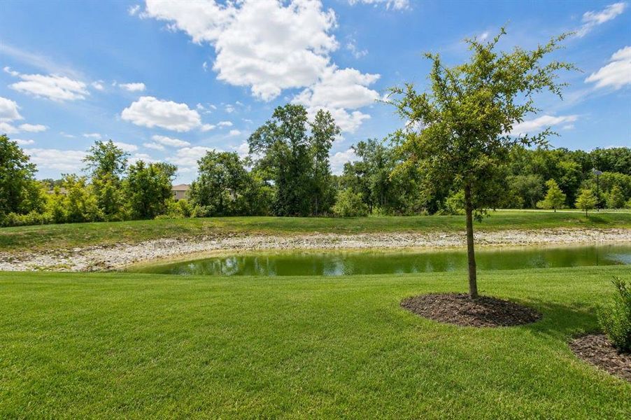 Natural landscape and outdoor views near Angeline in Land O' Lakes (Image 31).