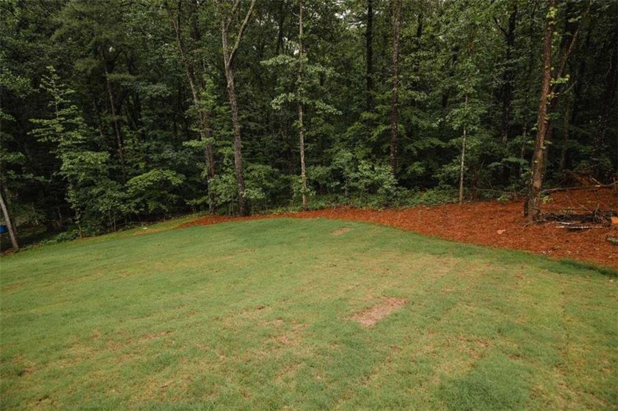 Natural landscape and outdoor views near in Douglasville (Image 91). Natural landscape and outdoor views near in Douglasville (Image 91).