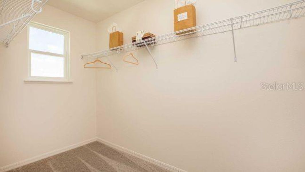 Spacious, unfurnished interior of a new home in , Lakeland (Image 18).