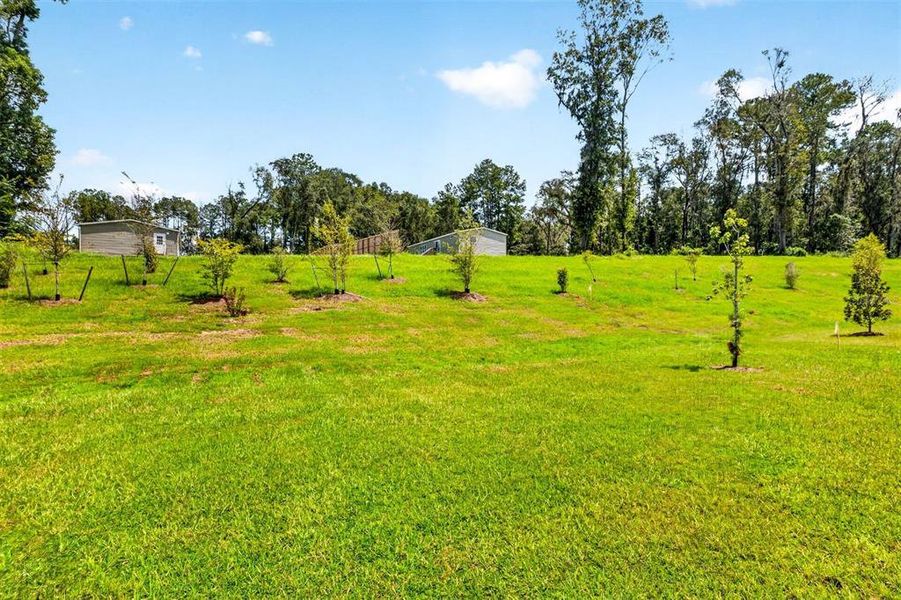 Natural landscape and outdoor views near Tara Forest East in Alachua (Image 43).
