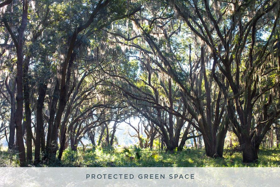 Natural landscape and outdoor views near  in Johns Island (Image 9).