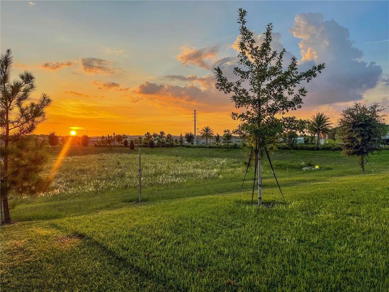 Natural landscape and outdoor views near Waterbrooke in Clermont (Image 66).