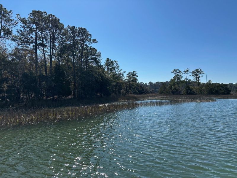 Natural landscape and outdoor views near  in Wadmalaw Island (Image 6).