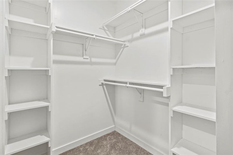 Walk in closet featuring carpet Walk in closet featuring carpet