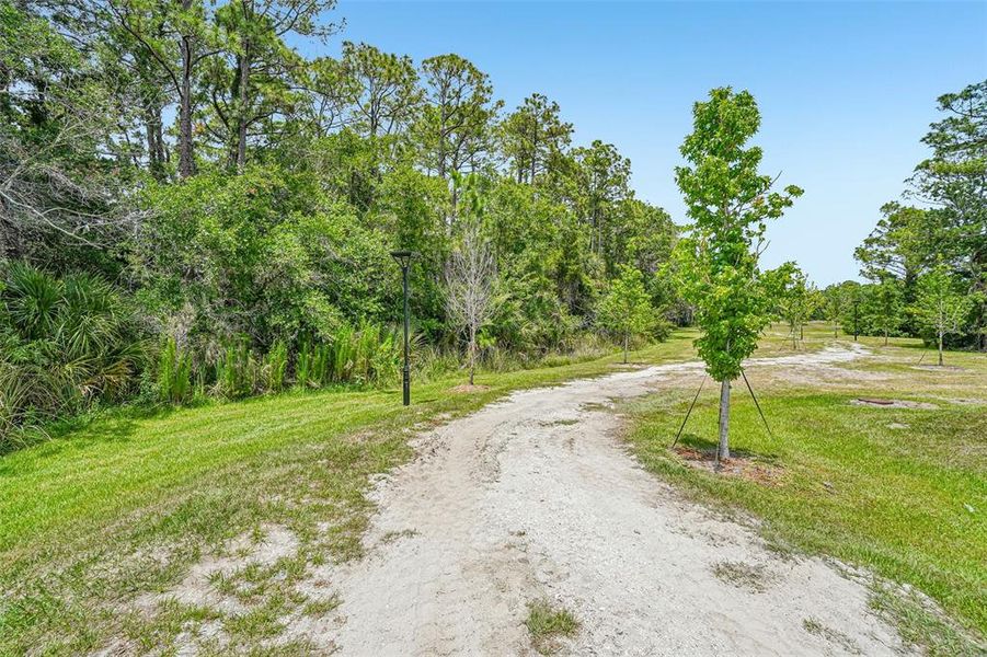 Natural landscape and outdoor views near Montague Chase in Tampa (Image 44). Natural landscape and outdoor views near Montague Chase in Tampa (Image 44).