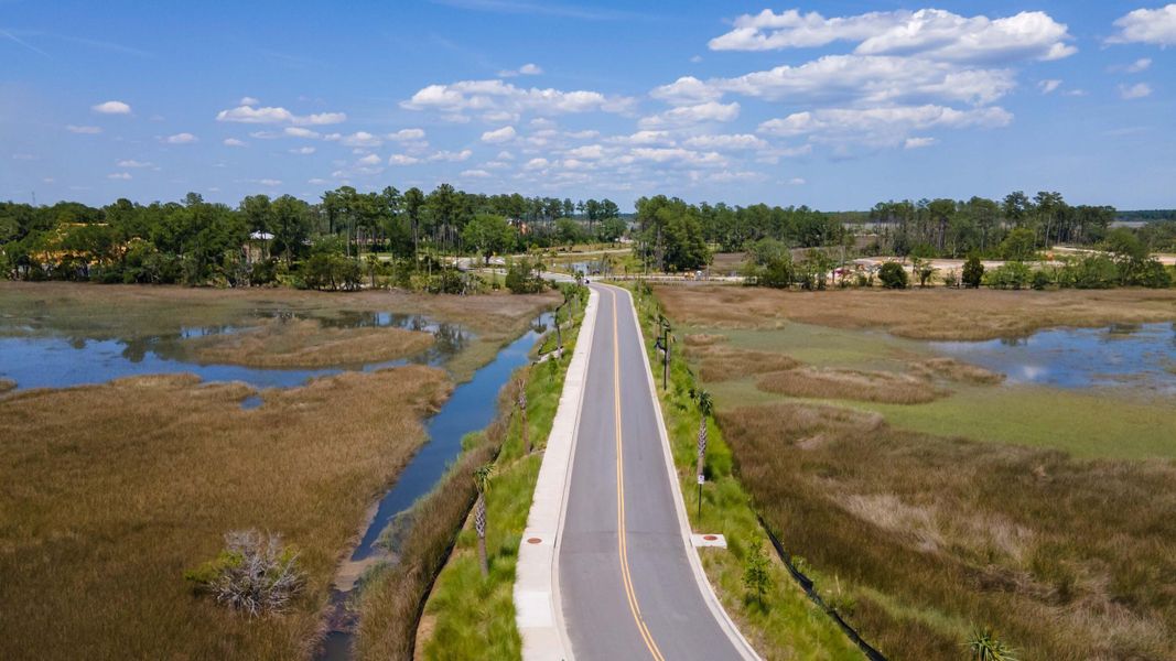 Natural landscape and outdoor views near  in Charleston (Image 61).