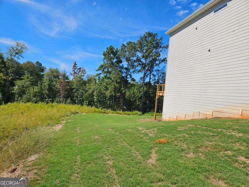 Exterior details and patio area of a home in Maddox Station, Eatonton (Image 4).