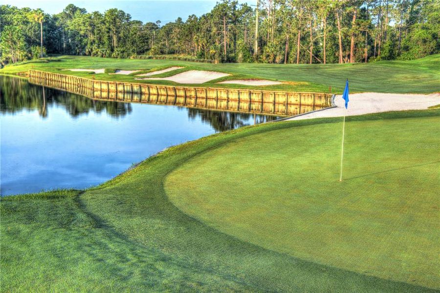 Natural landscape and outdoor views near in Ormond Beach (Image 43). Natural landscape and outdoor views near in Ormond Beach (Image 43).