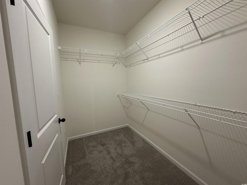 Walk in closet with dark colored carpet