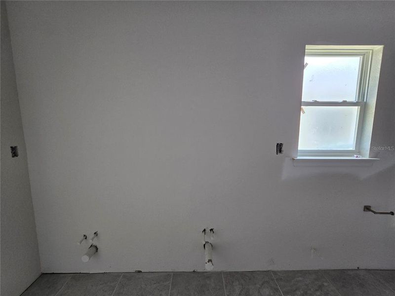 dual sink and toilet