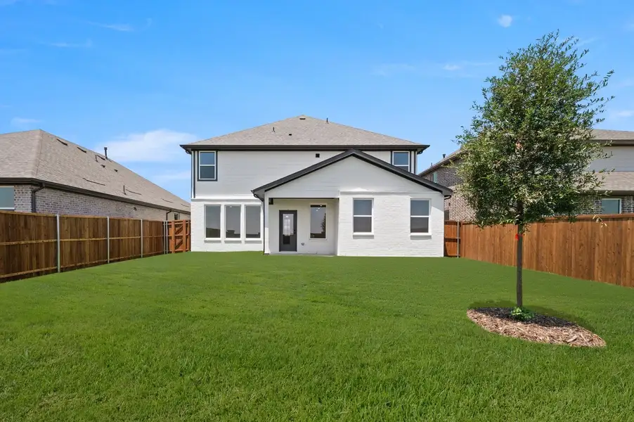 Rear Exterior Design