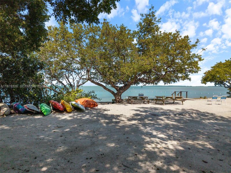 Natural landscape and outdoor views near  in Islamorada, Village of Islands (Image 91).