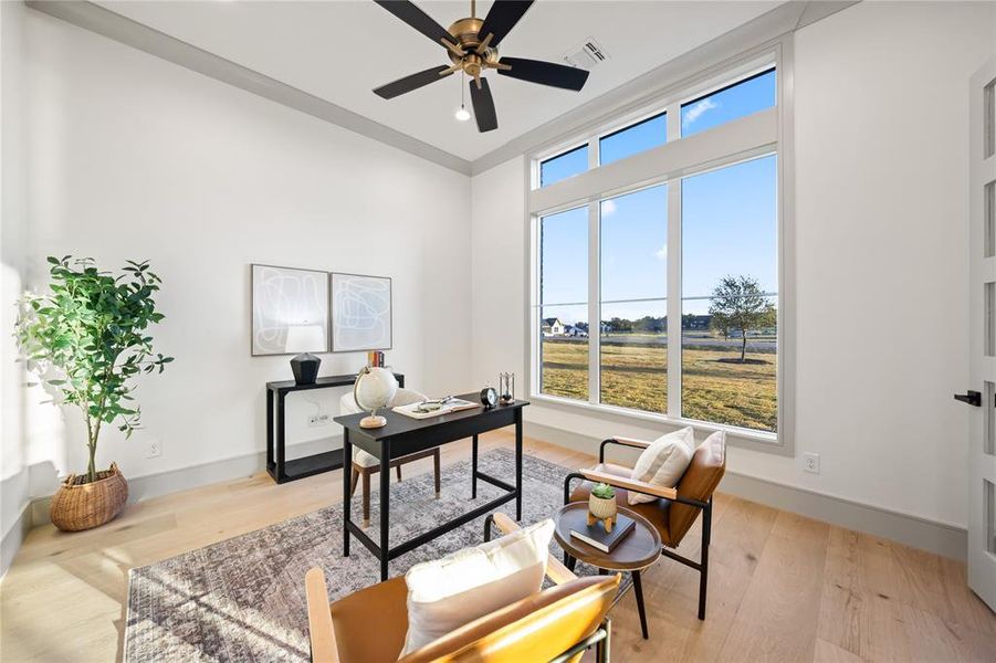 Spacious room featuring tall ceilings, light wood-finish flooring, and a contemporary ceiling fan