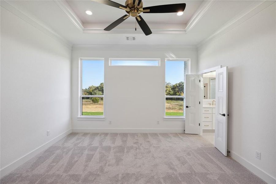 Carpeted spare room featuring ceiling fan, crown molding, and a raised ceiling